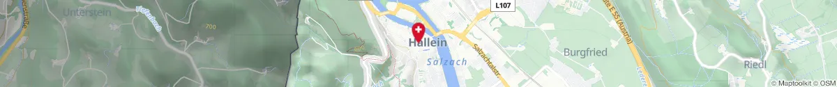 Map representation of the location for Stadtapotheke Hallein in 5400 Hallein